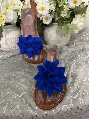 NWOT Ecoolnviv Blue Floral Slide Sandals for Women Size 13